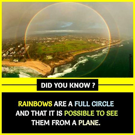 Did you Know