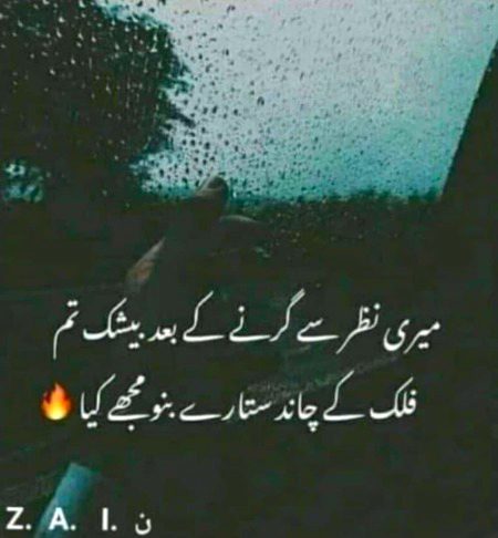 شک تو تها کہ محبت میں خسارے ہونگے.
یقین نہ تھا کہ سارے ھی  ھمارے ہونگے.