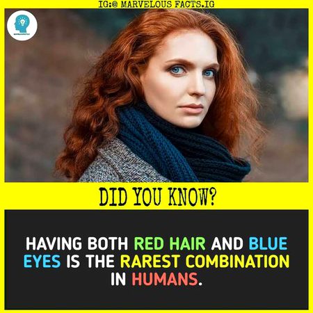 Did you Know