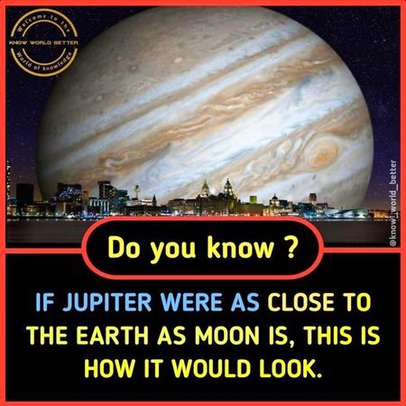 Did You Know
