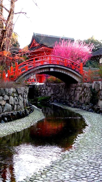 Amazing Place