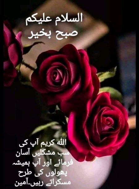 Have a great day... ❣️💞💓