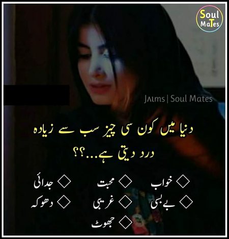 اپنی رائے کا اظہار کریں!!