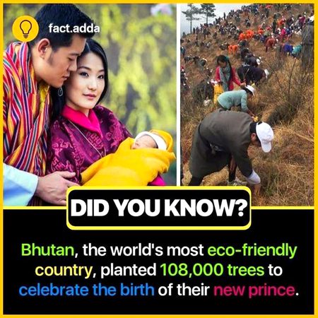 Did you Know
