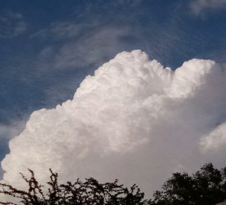 Captured by me 😇