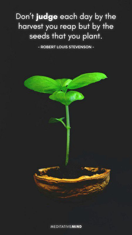 Deep one ND Damn truth..