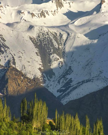 Beautiful Nature image