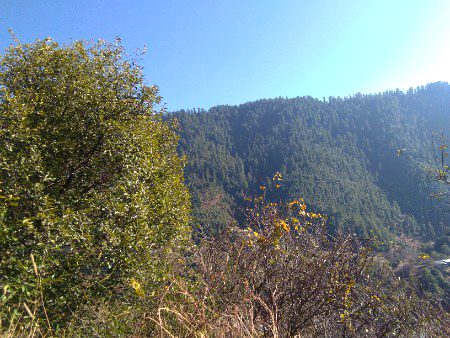 Ghr k samny ka view... English mn the front view of my home 😋