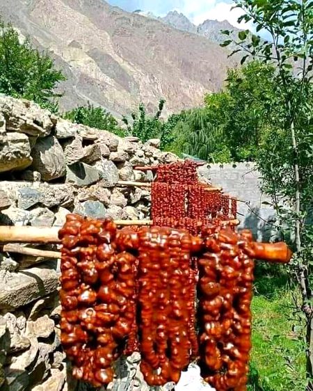 Beautiful pakistan swabi ka makami choclate😊😍