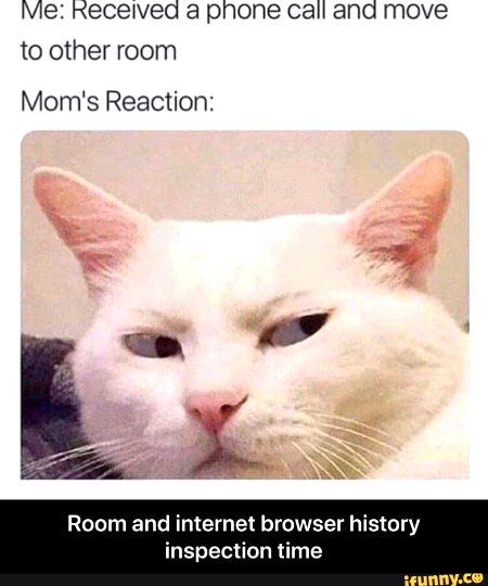 Memes & Satire image