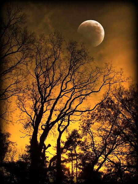 Veraniyan ty rul jandiyan ny jawaniyan q nii sundah vy jandiyan!!!😞