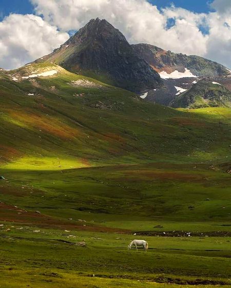 Beautiful Nature image