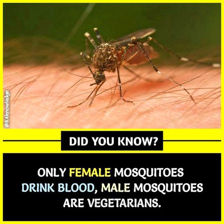 Did you know