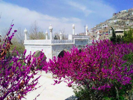 The tomb of Zahīr ud-Dīn Muhammad Babur — the first Mughal Emperor — in spring. 
Babur Gardens, Kabul, Afghanistan