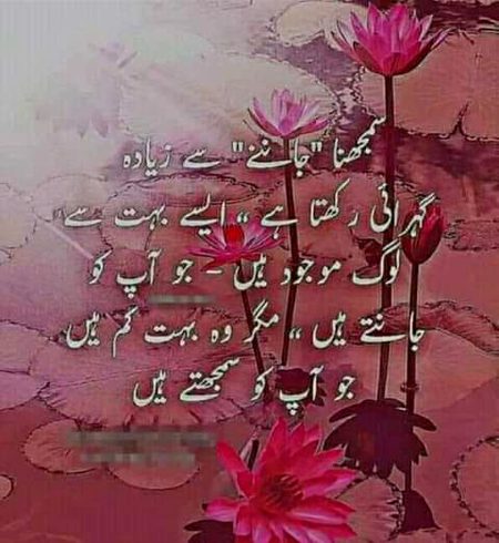 💕💕💕💖💖💖💖💖💕💕💕