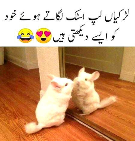 Mai to esy nhi krti sedhi bat hai😉
