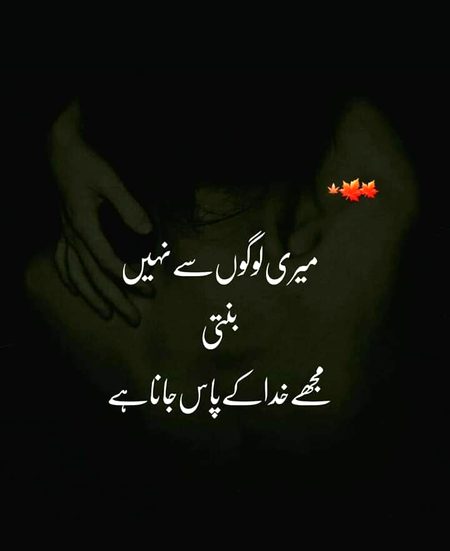 Beshak....right.....👌😇❤😊