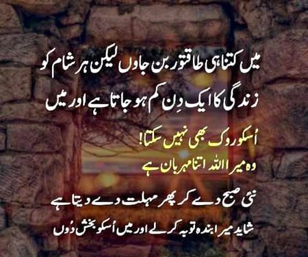 MaShaAllah🌸