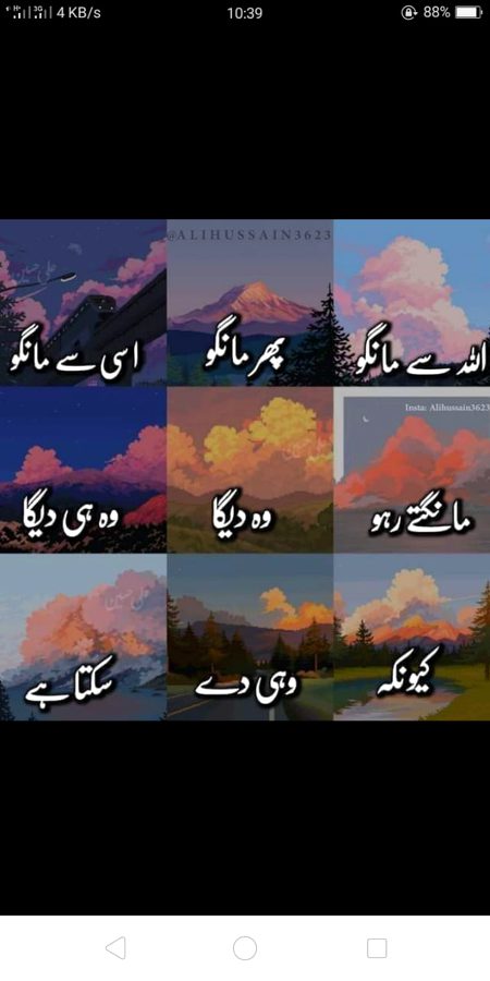 Shb bukher 😴😴😴