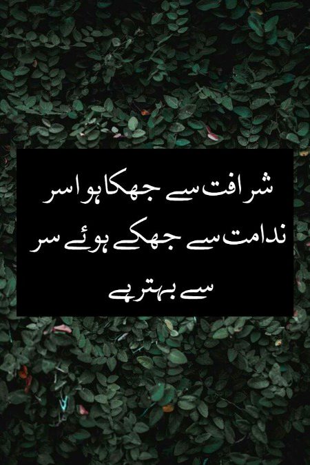 beshak✨✨