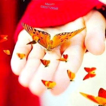 جب روح میں اتر جاتا ہے بے پناہ عشق کا سمندر
لوگ زندہ تو رہتے ہیں مگر کسی اور کے اندر !!!