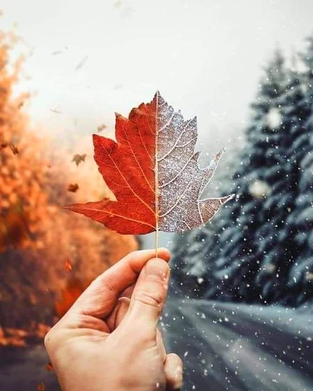 تیرے عتاب سے کتنی نبھاہ کی ہم نے 
نا کوئی اشک بہایا نا آہ کی ہم نے 

عدم ہماری جوانی ہماری دولت تھی 
بڑی فراخ دلی سے تباہ کی ہم نے