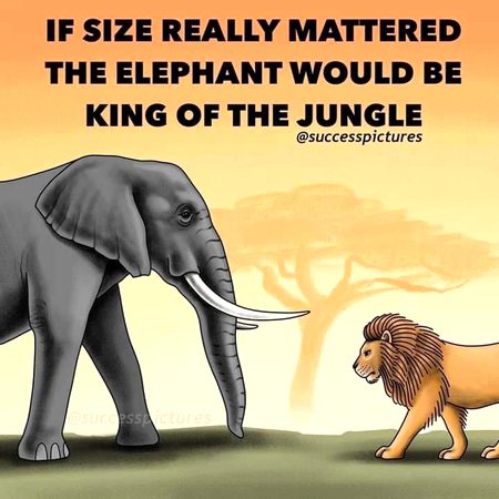 100% Right