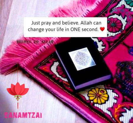 💕💕💕💖💖💕💕💕