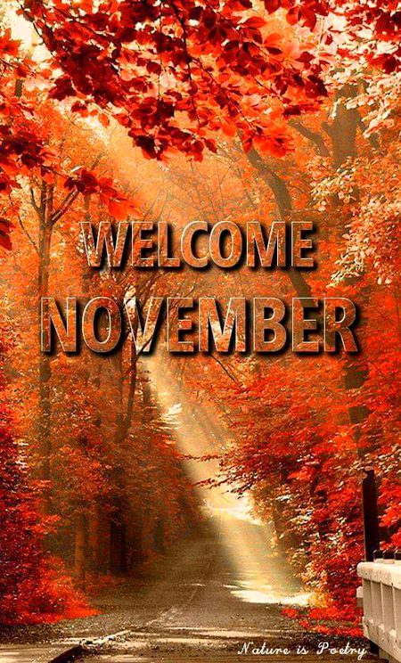 Welcome November!!!