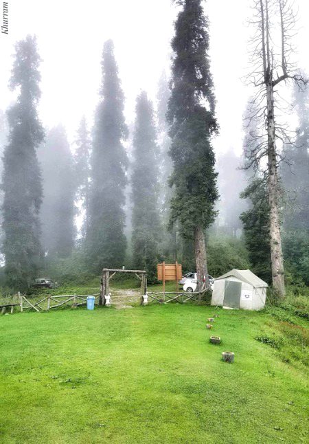 ٹھنڈیانی، گلیات، ایبٹ آباد۔۔🌥🌲

Misty Morning of Thandiani, Galyat 💕