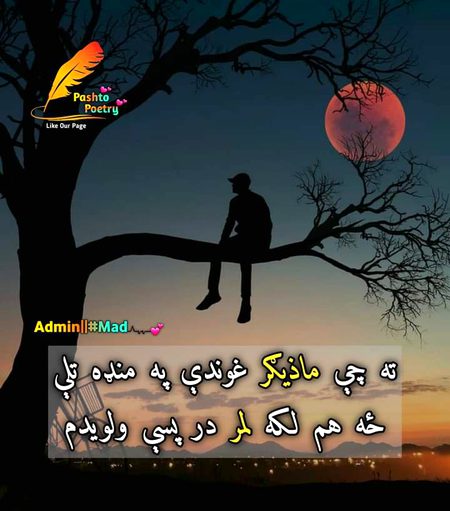 ته چې ماذیګر غوندې په منډه تلې
..
ځه هم لکه لمر در پسې ولویدم