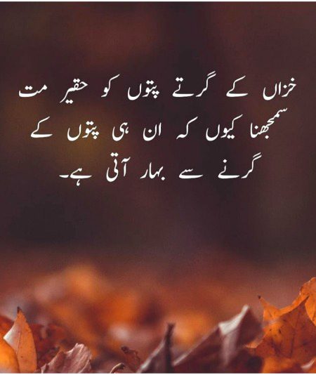Perfect word