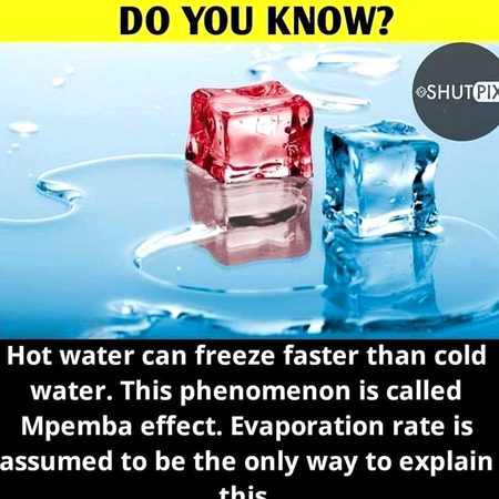 Did you Know