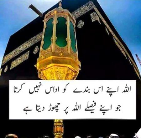 ⚘🌷⚘Bilkul⚘🌷⚘