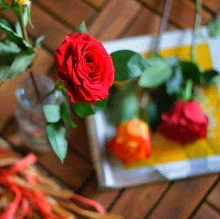 رشتہ توڑ دینے کا مشورہ دینا آســـان ہے
رشتوں کو جوڑنے اور نبھانے کا مشورہ دینے والے بنیں