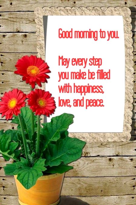 ASALAM alaikum❤❤❤