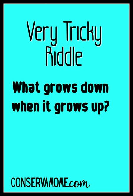 Riddles & Puzzles image