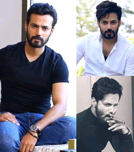 Pakistani Celebs image