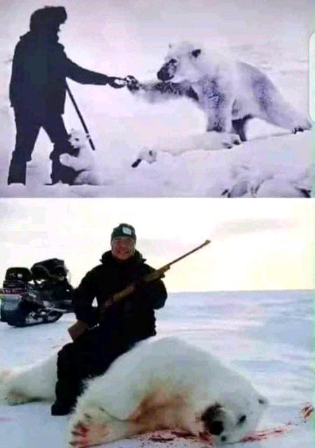 Yaqeen krein Insaan Say Zyada Bewafa Or Dokhay Baaz Koi Nahi