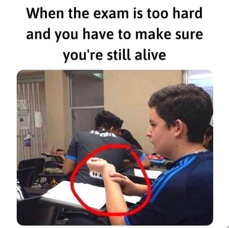 Memes & Satire image