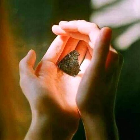 مجھے پسند ہے لوگوں میں امید بانٹنا۔روتے ہوئے چہروں پہ ہنسی کی کرنیں بکھیر دینا۔رنگوں کی دنیا سے مخلصی کے سارے رنگ چرا کے لوگوں کی جھولی میں ڈال دینا۔بدلے کی چاہ کے بغیر پُرخلوص رہنا۔ہاں مجھے پسند ہے الجھنوں کو سلجھا کر راستہ دیکھانا۔مجھے پسند ہے جگنو بننا___!!!!