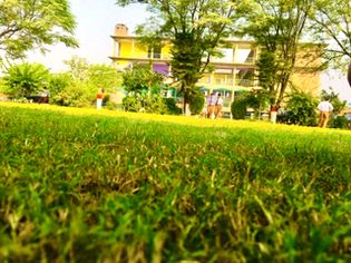 Peshawar Model Degree College😍❤️