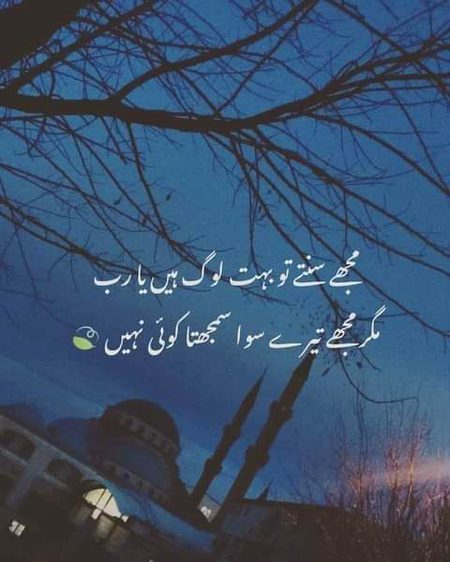 •||•°°°°°•||•