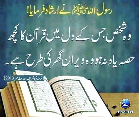 Islamic Quotes image