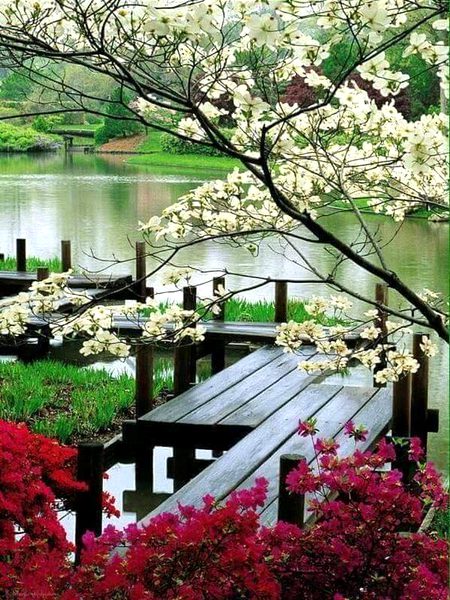 Amazing Place