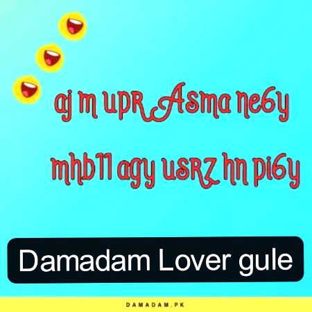 ｡◕‿◕｡｡◕‿◕｡