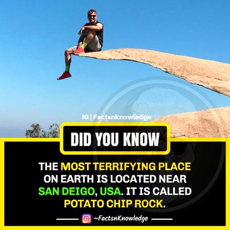 Did You Know
