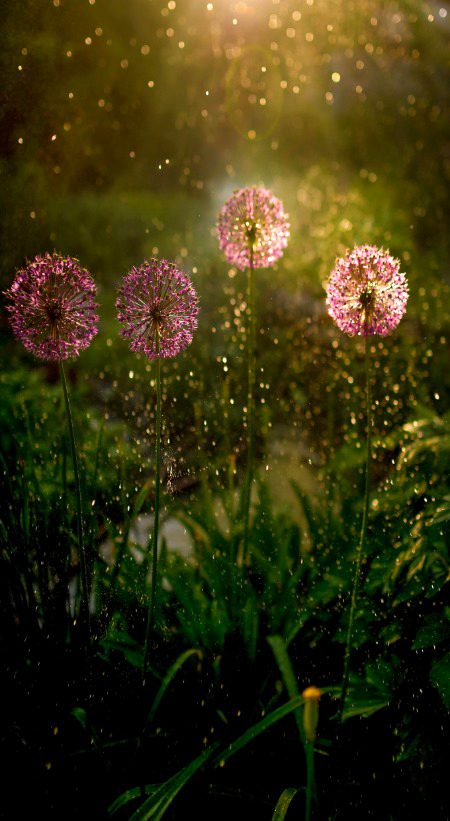 Photography 😍