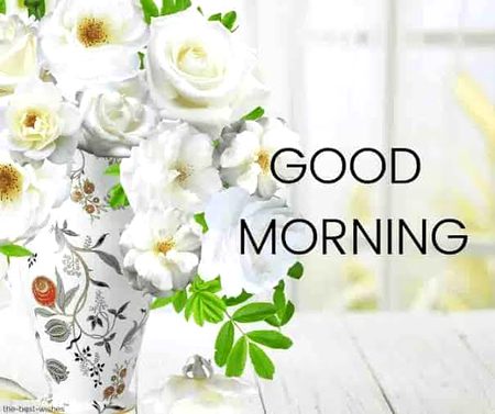 Have a nice day 💞 💞