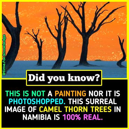 Did you Know